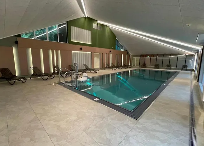 Mit Sauna Und Pool 公寓